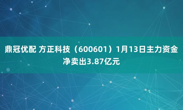 鼎冠优配 方正科技（600601）1月13日主力资金净卖出3.87亿元