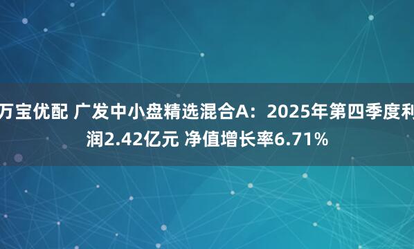 万宝优配 广发中小盘精选混合A：2025年第四季度利润2.42亿元 净值增长率6.71%