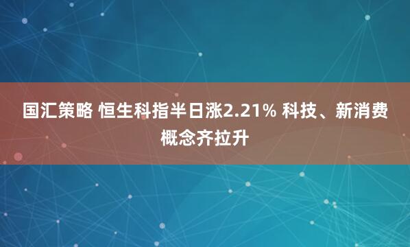 国汇策略 恒生科指半日涨2.21% 科技、新消费概念齐拉升