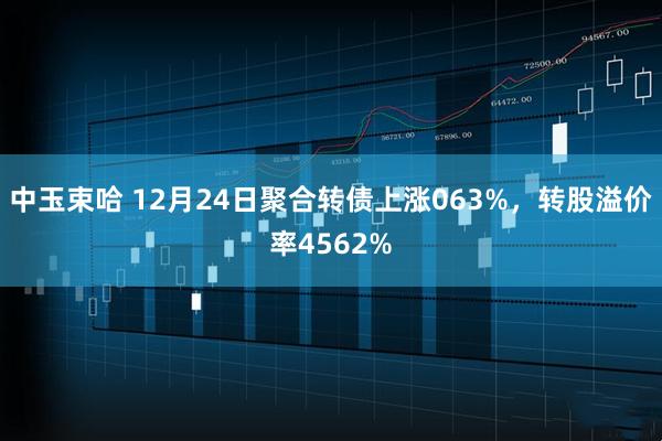 中玉束哈 12月24日聚合转债上涨063%，转股溢价率4562%