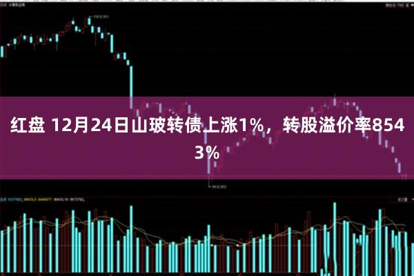 红盘 12月24日山玻转债上涨1%，转股溢价率8543%