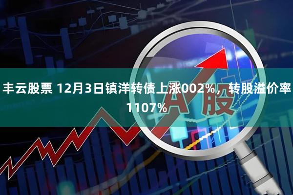 丰云股票 12月3日镇洋转债上涨002%，转股溢价率1107%