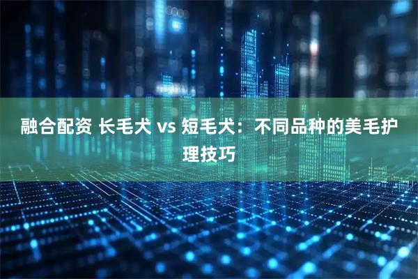 融合配资 长毛犬 vs 短毛犬：不同品种的美毛护理技巧