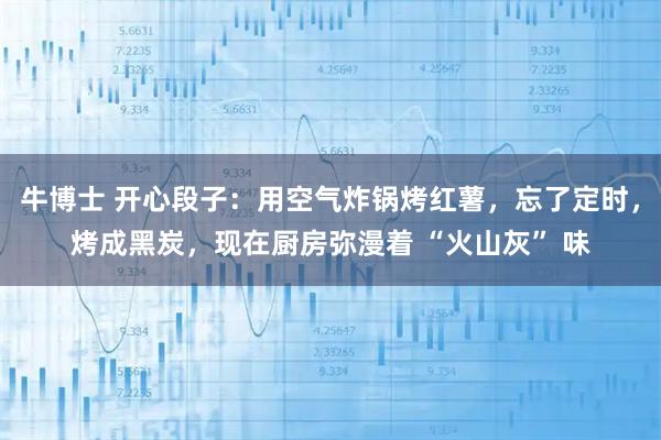 牛博士 开心段子：用空气炸锅烤红薯，忘了定时，烤成黑炭，现在厨房弥漫着 “火山灰” 味