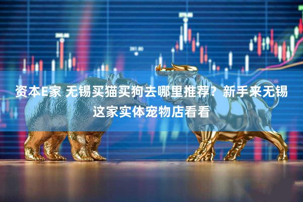 资本E家 无锡买猫买狗去哪里推荐？新手来无锡这家实体宠物店看看